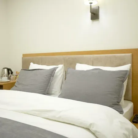 Kartal Palace Taksim Square Famıly 2* İstanbul