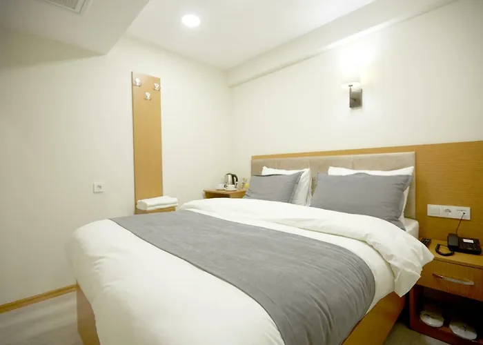 酒店 Kartal Palace Taksim Square Family