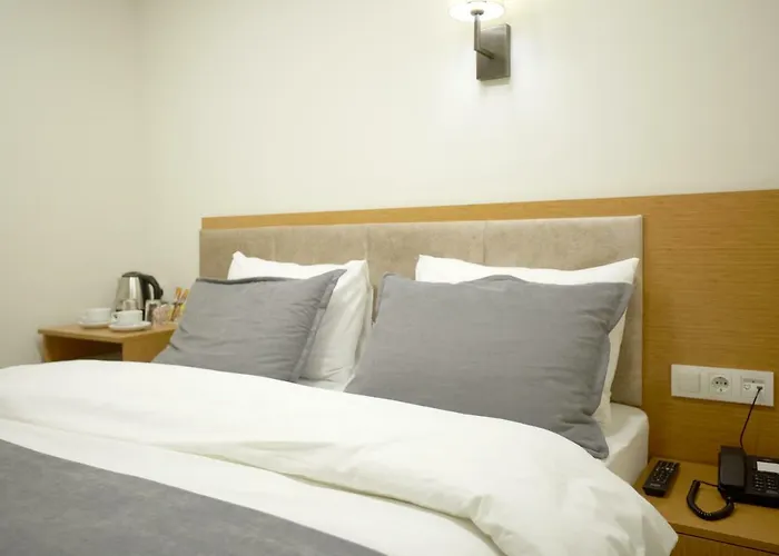 Kartal Palace Taksim Square Family 4* 伊斯坦布尔